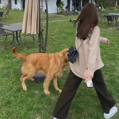 永远忠诚